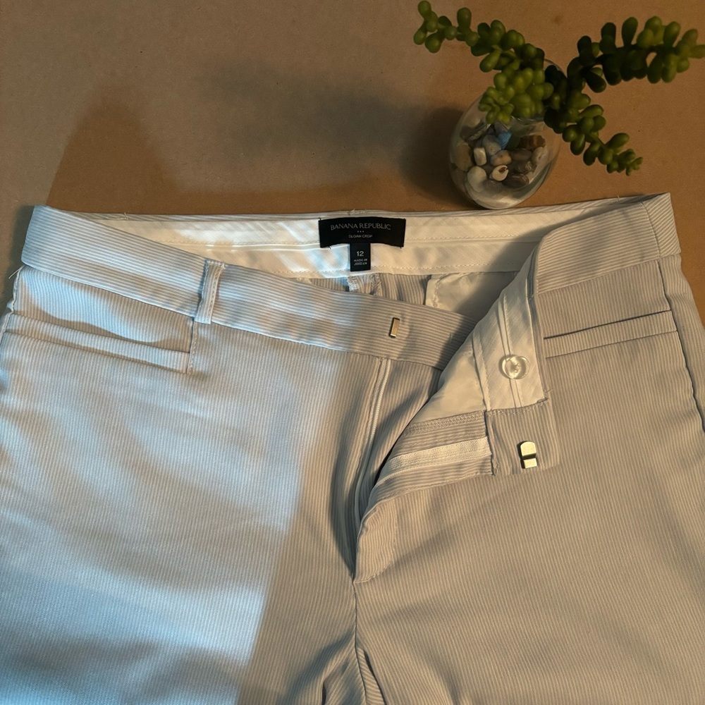 ⚡️SALE⚡️Banana Republic Sloan Crop Pant